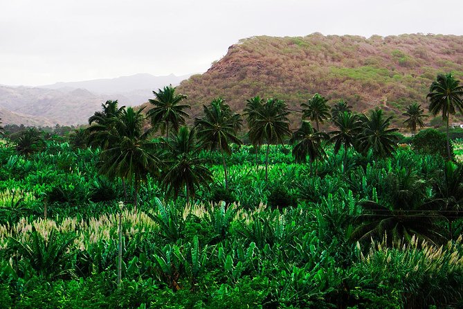 Santiago Island: Banana Plantation, Natural Park & Workshop with a local family - Why the small group changes the experience