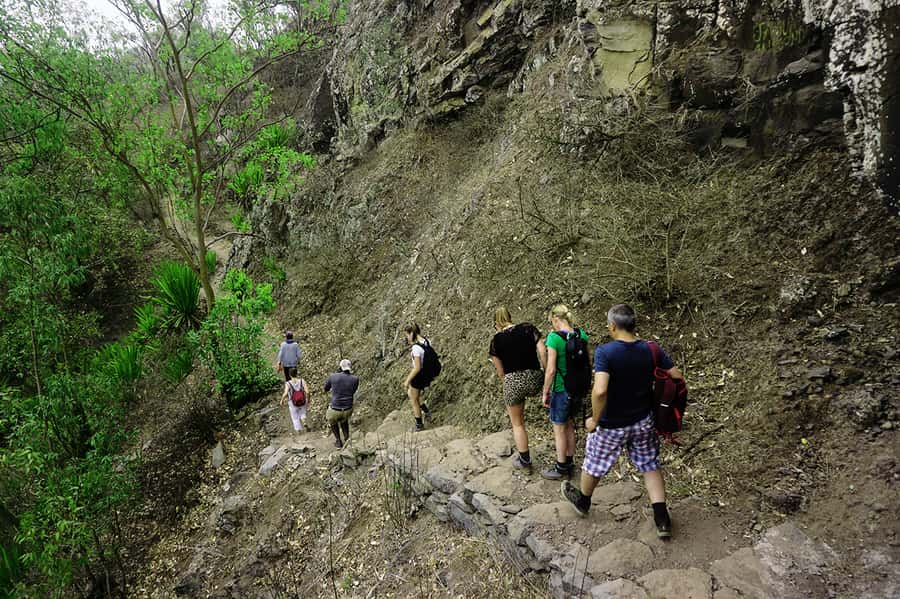 Santiago Island: Serra Malagueta & Tarrafal Beach Trek Tour - Plants, birds, and conservation in practical terms