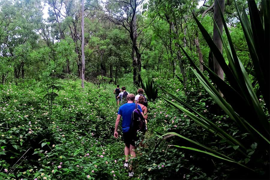Santiago Island: Serra Malagueta & Tarrafal Beach Trek Tour - What $106 includes, and what it does not