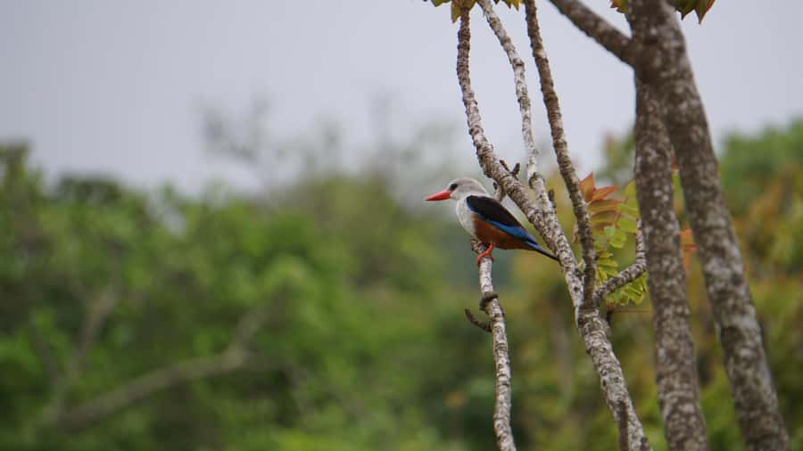 Santo Antão: Full Day Island Tour & Visit to Cova de Paúl - Ponta de Sol and the small fishing boats