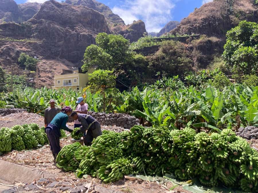 Santo Antão Highlights: Day Trip by Car with Ferry from SV - Why this day trip is worth considering