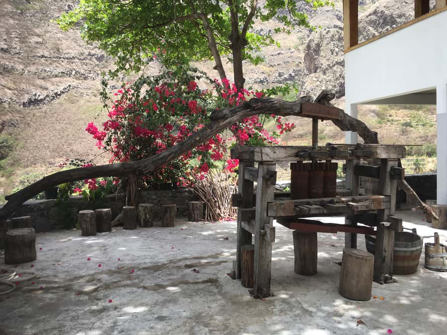Santo Antão Highlights: Day Trip by Car with Ferry from SV - The New Coastal Road back to Porto Novo