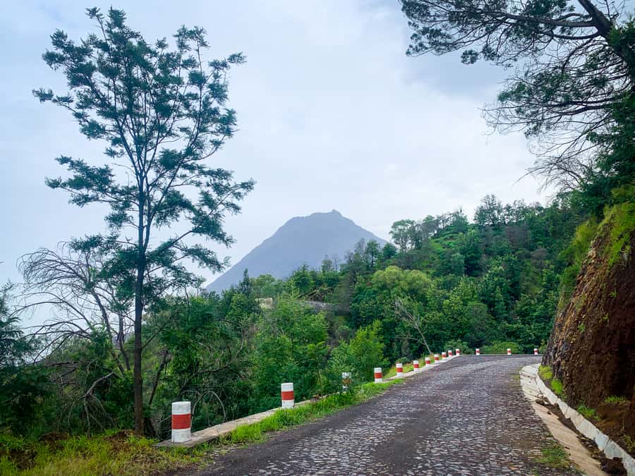 Sao Filipe: Coffee Plantation and Natural Pools Day Trip - Walking across the 1951 lava flows in Mosteiros