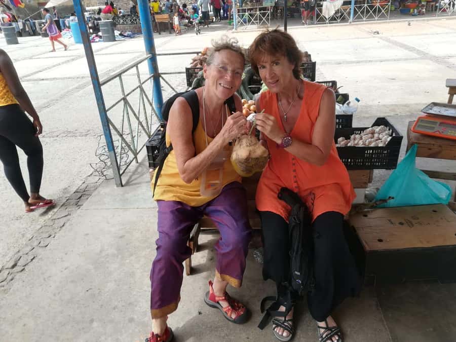 São Vicente Full Day - Palácio do Povo and the Municipal Market
