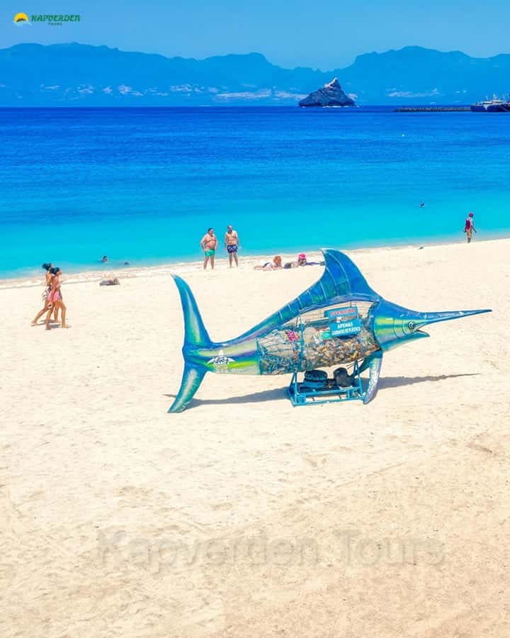 São Vicente: Highligts tour for cruise ship travelers - Mont Verde gives the day its biggest view