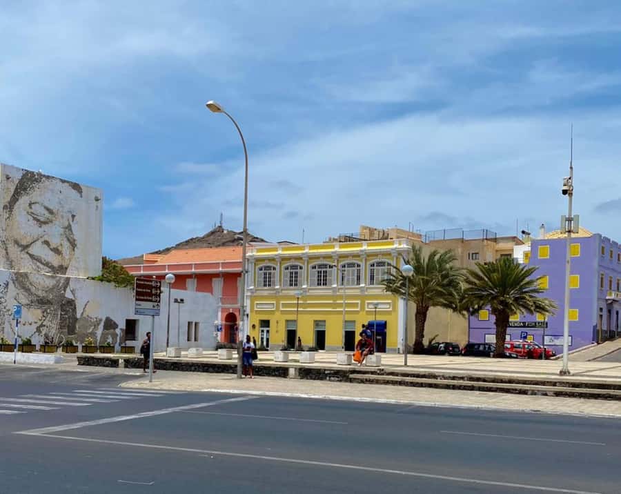 São Vicente: Snorkel with Sea Turtles Adventure - What the guide service adds