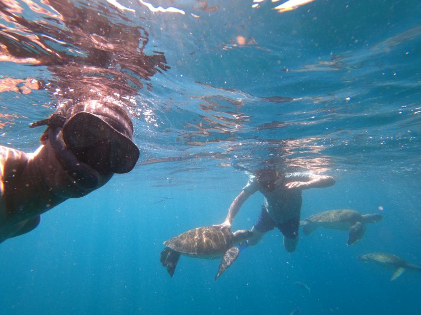 São Vicente: Snorkeling with Turtles Breathtaking Experience - Why the local connection adds value