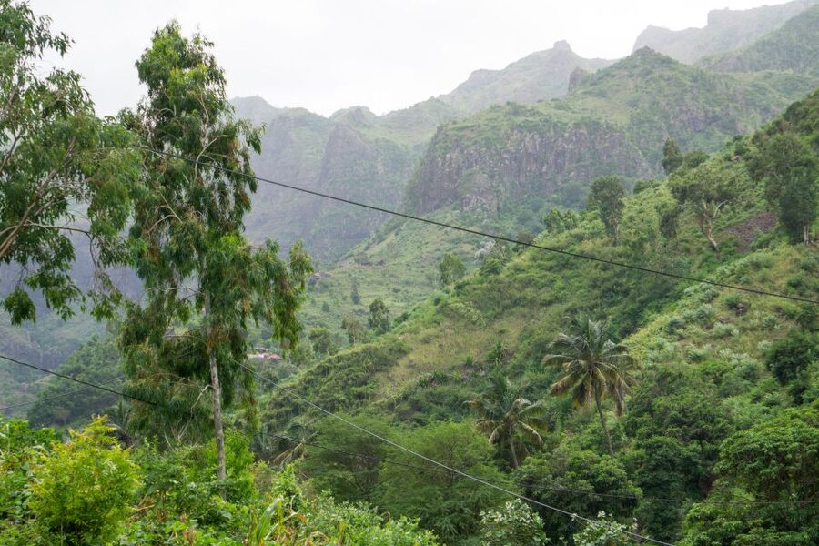 Serra Malagueta Natural Park: Hike to Gongon Valley & Lunch - Key points to know before booking