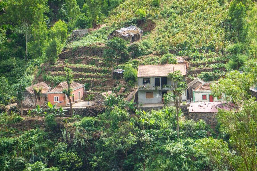 Serra Malagueta Natural Park: Hike to Gongon Valley & Lunch - The final miles toward Hortelã Valley