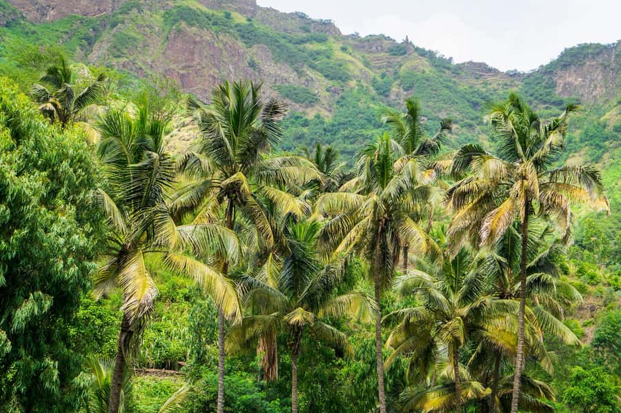 Serra Malagueta: Principal Valley Hike & Lunch with Locals - What the $111 price includes