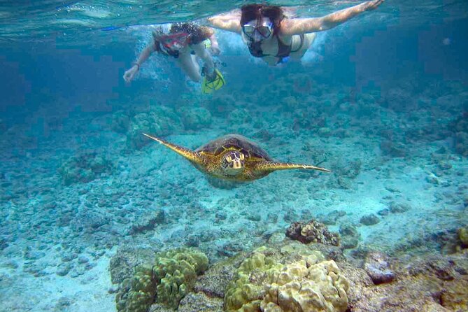 Snorkeling Experience in Santa Maria Bay by boat - Key points before you book