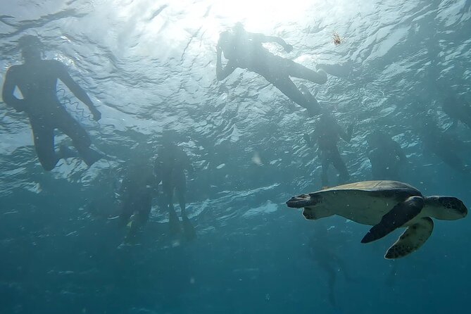 Snorkeling Experience in Santa Maria Bay by boat - Reaching the best spots in the bay