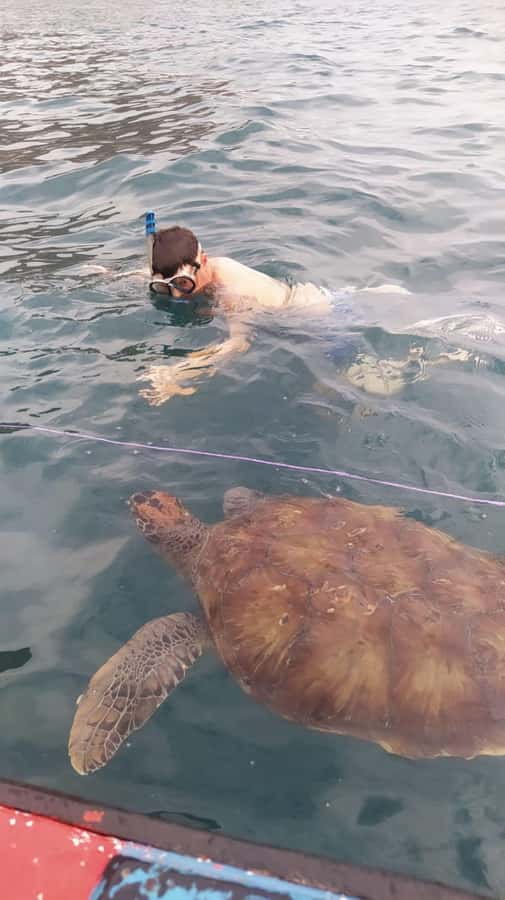 Snorkeling with Turtles - São Pedro gives this short tour its character