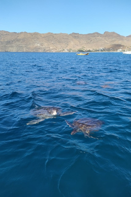 Snorkeling with turtles at Sao Pedro's Beach - The ride to the beach