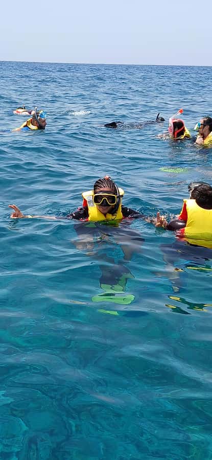 Snorkelling trip with certificate local guide - What this Sal snorkelling trip is really like