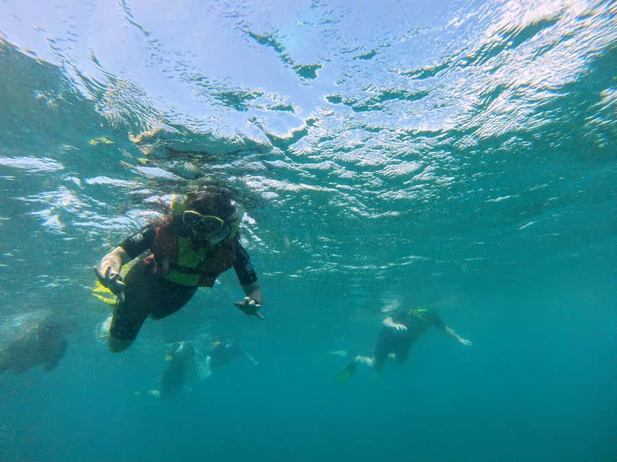 Snorkelling trip with certificate local guide - The Christ statue and the second water stop