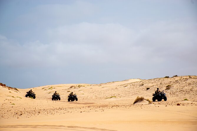 South of Boa Vista Adventure Explore the Desert by Quad - Who should book this Boa Vista adventure?