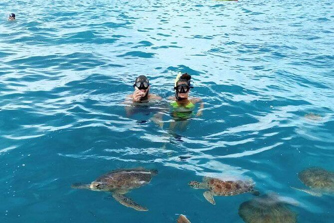 Spectacular experience with sea turtles - Snorkeling equipment needs a careful check