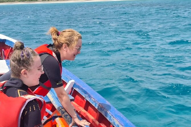 Spectacular experience with sea turtles - Is $61.58 a fair price?