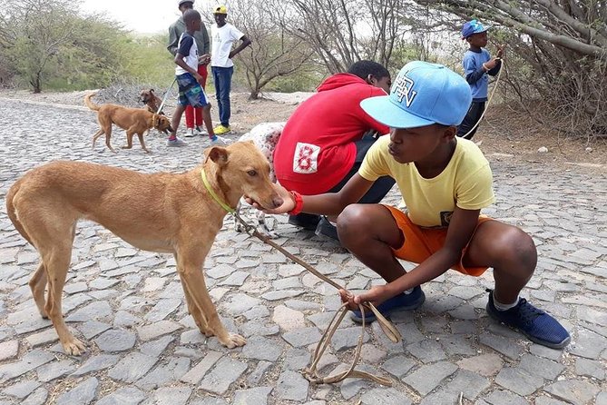 Volunteering with animals in Sao Vicente! - Spending quiet time with the cats